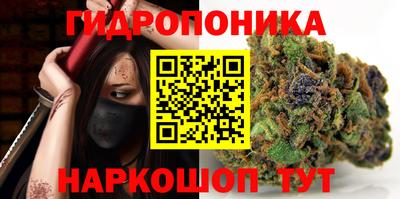 гашик Гатчина