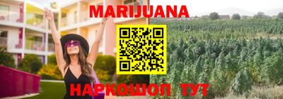 гашик Гатчина
