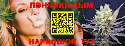 гашик Гатчина