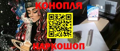 гашик Гатчина