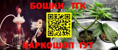 гашик Гатчина