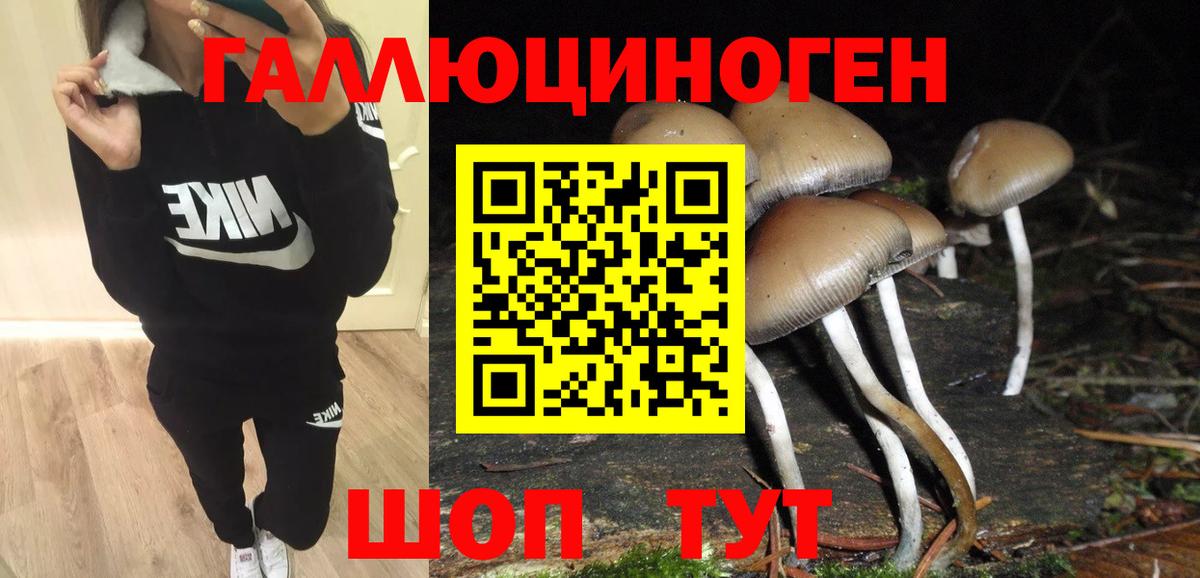 Галлюциногенные грибы ЛСД Мурино